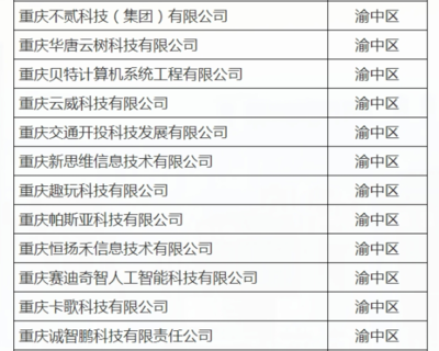 渝中12家企業(yè)入選重慶首批“滿(mǎn)天星”示范企業(yè)，引領(lǐng)軟件開(kāi)發(fā)新高度
